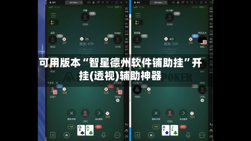 可用版本“智星德州软件铺助挂”开挂(透视)辅助神器-第3张图片