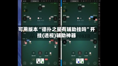 可用版本“德扑之星有辅助挂吗”开挂(透视)辅助神器-第3张图片