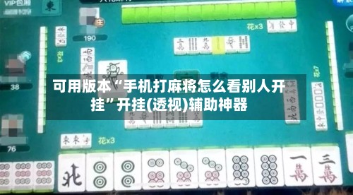 可用版本“手机打麻将怎么看别人开挂”开挂(透视)辅助神器-第2张图片