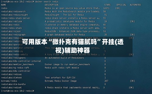 可用版本“微扑克有猫腻吗”开挂(透视)辅助神器-第2张图片
