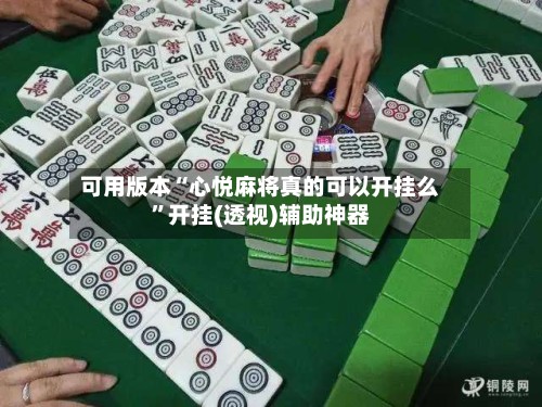 可用版本“心悦麻将真的可以开挂么	”开挂(透视)辅助神器-第2张图片