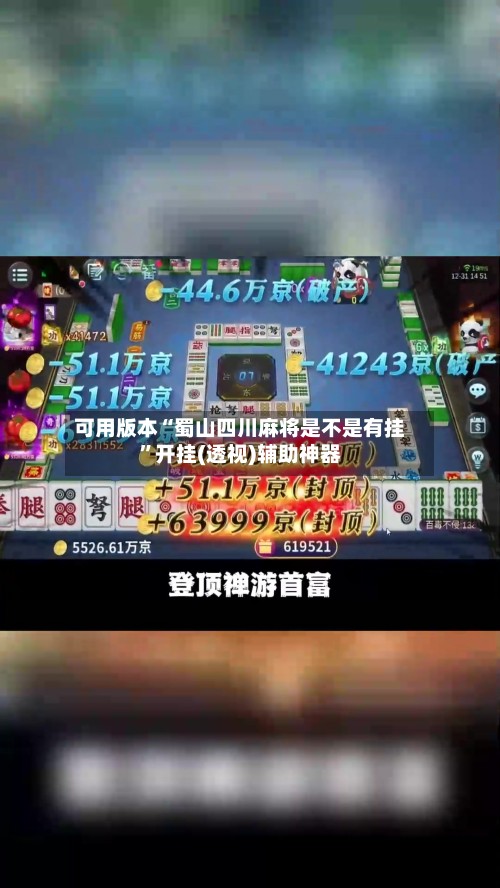 可用版本“蜀山四川麻将是不是有挂”开挂(透视)辅助神器-第3张图片