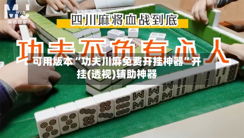 可用版本“功夫川麻免费开挂神器”开挂(透视)辅助神器-第3张图片