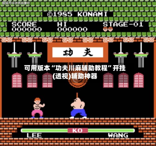 可用版本“功夫川麻辅助教程”开挂(透视)辅助神器