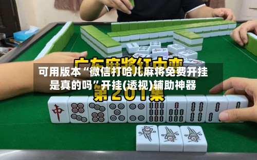 可用版本“微信打哈儿麻将免费开挂是真的吗”开挂(透视)辅助神器-第3张图片