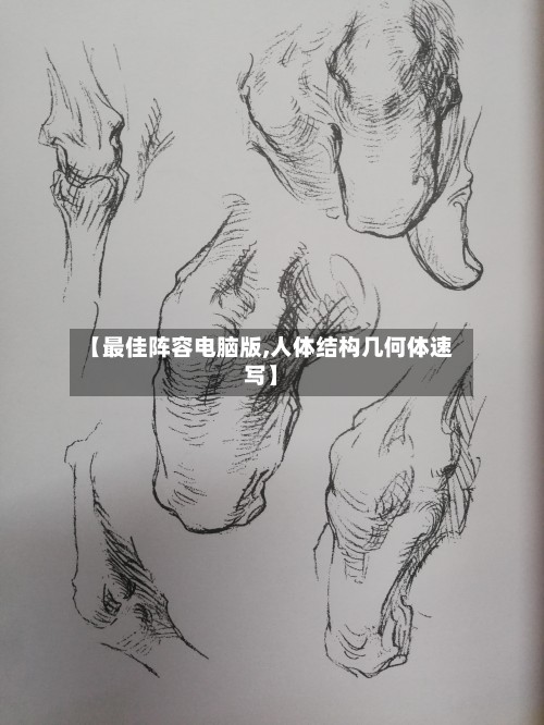 【最佳阵容电脑版,人体结构几何体速写】