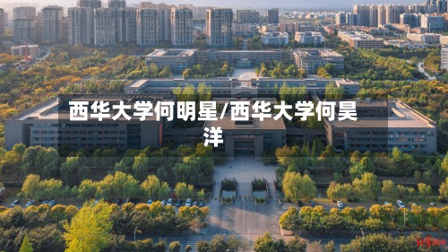 西华大学何明星/西华大学何昊洋-第2张图片