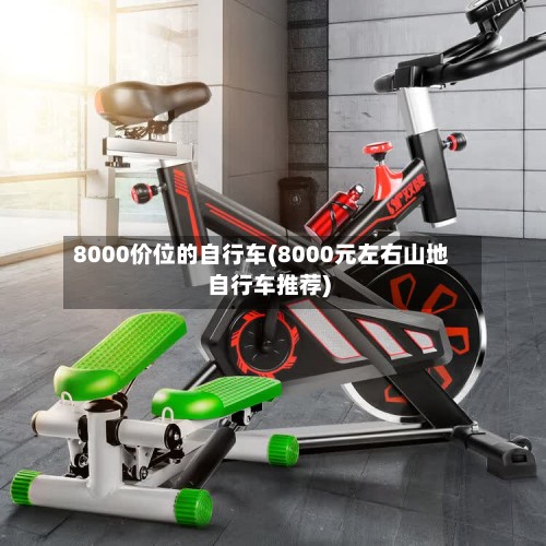 8000价位的自行车(8000元左右山地自行车推荐)