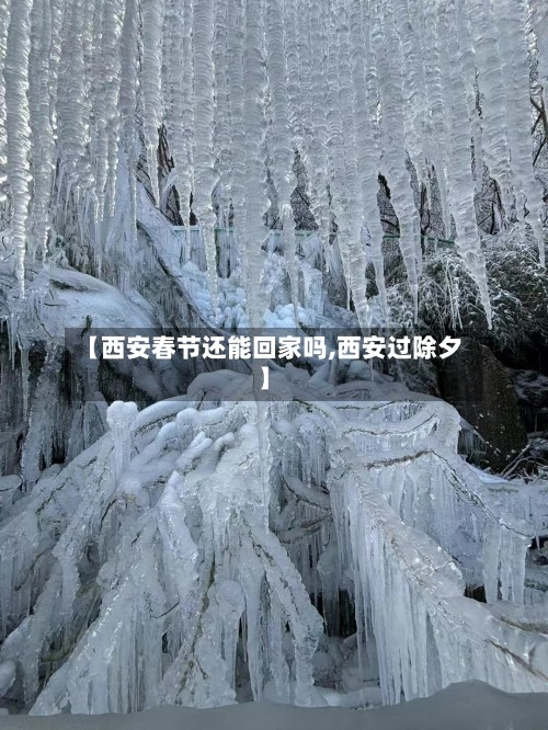 【西安春节还能回家吗,西安过除夕】
