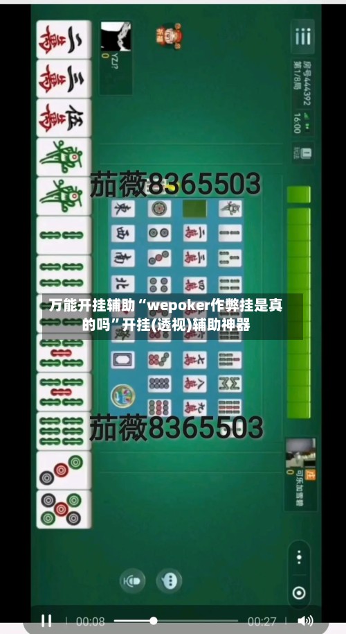 万能开挂辅助“wepoker作弊挂是真的吗	”开挂(透视)辅助神器-第2张图片