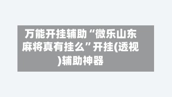 万能开挂辅助“微乐山东麻将真有挂么”开挂(透视)辅助神器-第2张图片