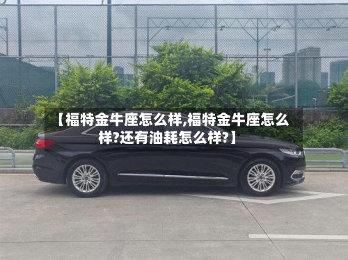 【福特金牛座怎么样,福特金牛座怎么样?还有油耗怎么样?】-第2张图片