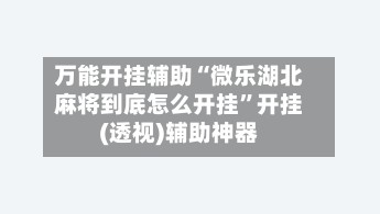 万能开挂辅助“微乐湖北麻将到底怎么开挂”开挂(透视)辅助神器-第2张图片