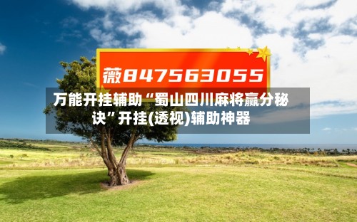 万能开挂辅助“蜀山四川麻将赢分秘诀”开挂(透视)辅助神器