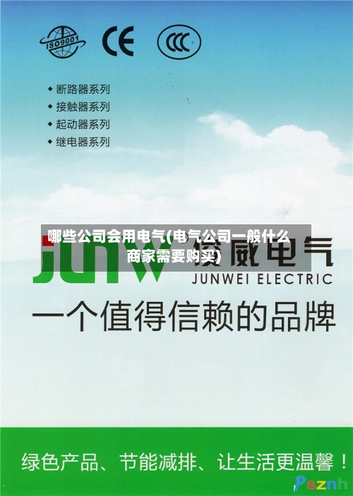 哪些公司会用电气(电气公司一般什么商家需要购买)-第2张图片