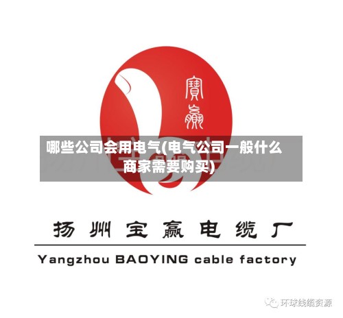 哪些公司会用电气(电气公司一般什么商家需要购买)-第1张图片