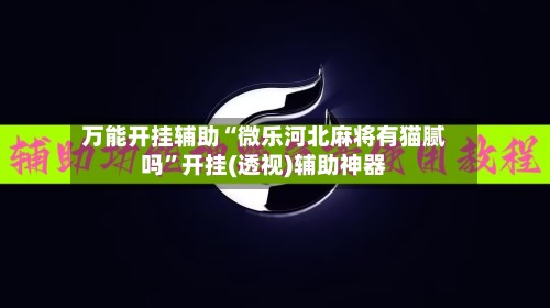 万能开挂辅助“微乐河北麻将有猫腻吗”开挂(透视)辅助神器-第3张图片