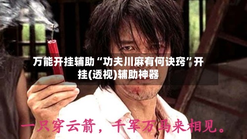 万能开挂辅助“功夫川麻有何诀窍	”开挂(透视)辅助神器-第2张图片