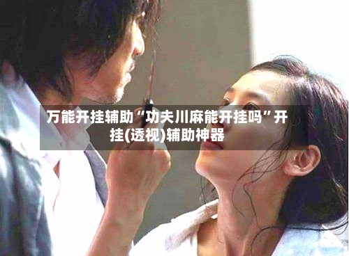 万能开挂辅助“功夫川麻能开挂吗”开挂(透视)辅助神器-第3张图片