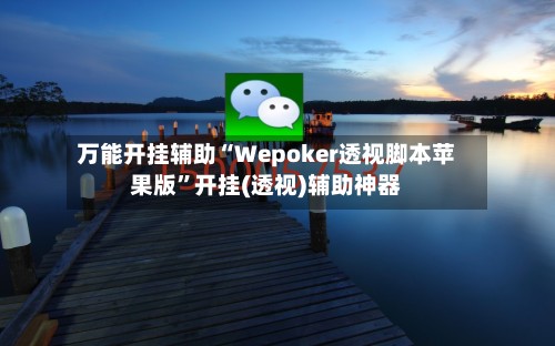 万能开挂辅助“Wepoker透视脚本苹果版”开挂(透视)辅助神器-第3张图片