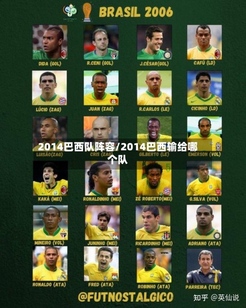 2014巴西队阵容/2014巴西输给哪个队