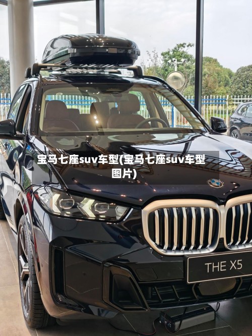 宝马七座suv车型(宝马七座suv车型图片)