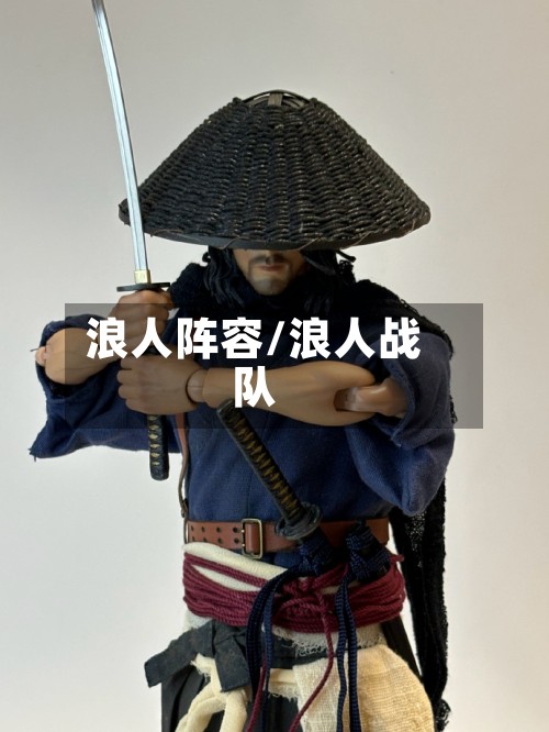 浪人阵容/浪人战队
