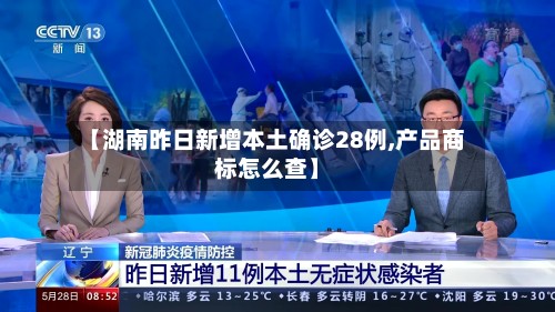 【湖南昨日新增本土确诊28例,产品商标怎么查】-第3张图片