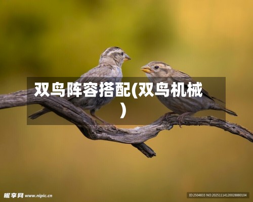 双鸟阵容搭配(双鸟机械)