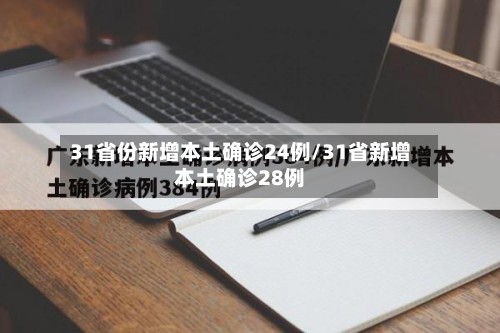 31省份新增本土确诊24例/31省新增本土确诊28例