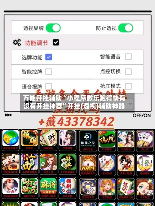 万能开挂辅助“小程序微乐跑得快有没有开挂神器”开挂(透视)辅助神器-第2张图片