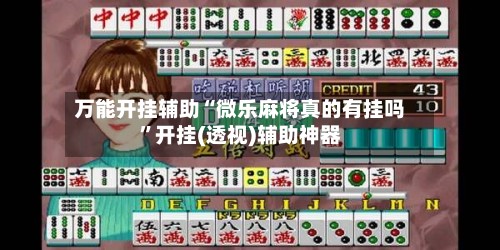 万能开挂辅助“微乐麻将真的有挂吗”开挂(透视)辅助神器-第2张图片