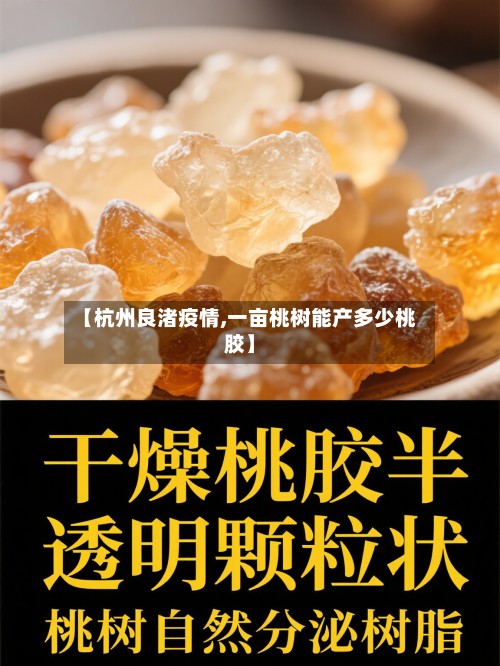 【杭州良渚疫情,一亩桃树能产多少桃胶】